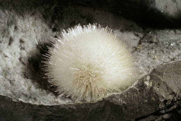 Natrolite crystal spray in air bubble in basalt from India