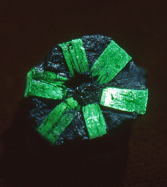 "Trapiche" emerald crystal from Colombia